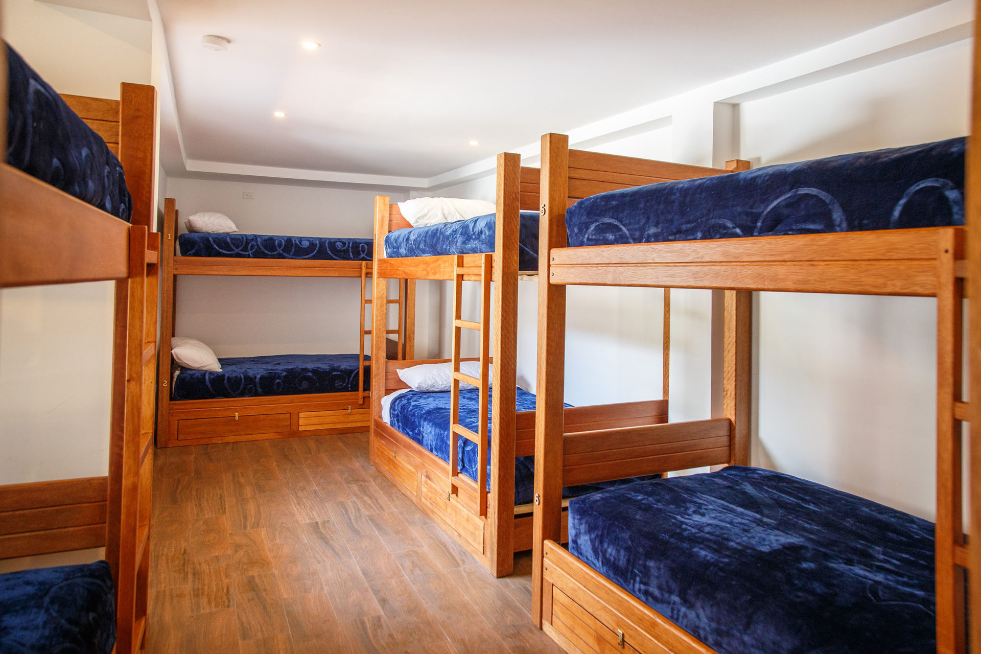 Bed in 8-Bed Dormitory Room