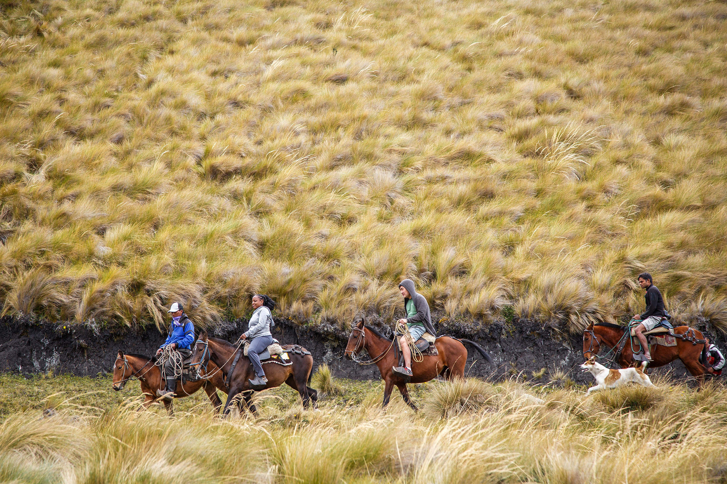 people riding horses in Alausi