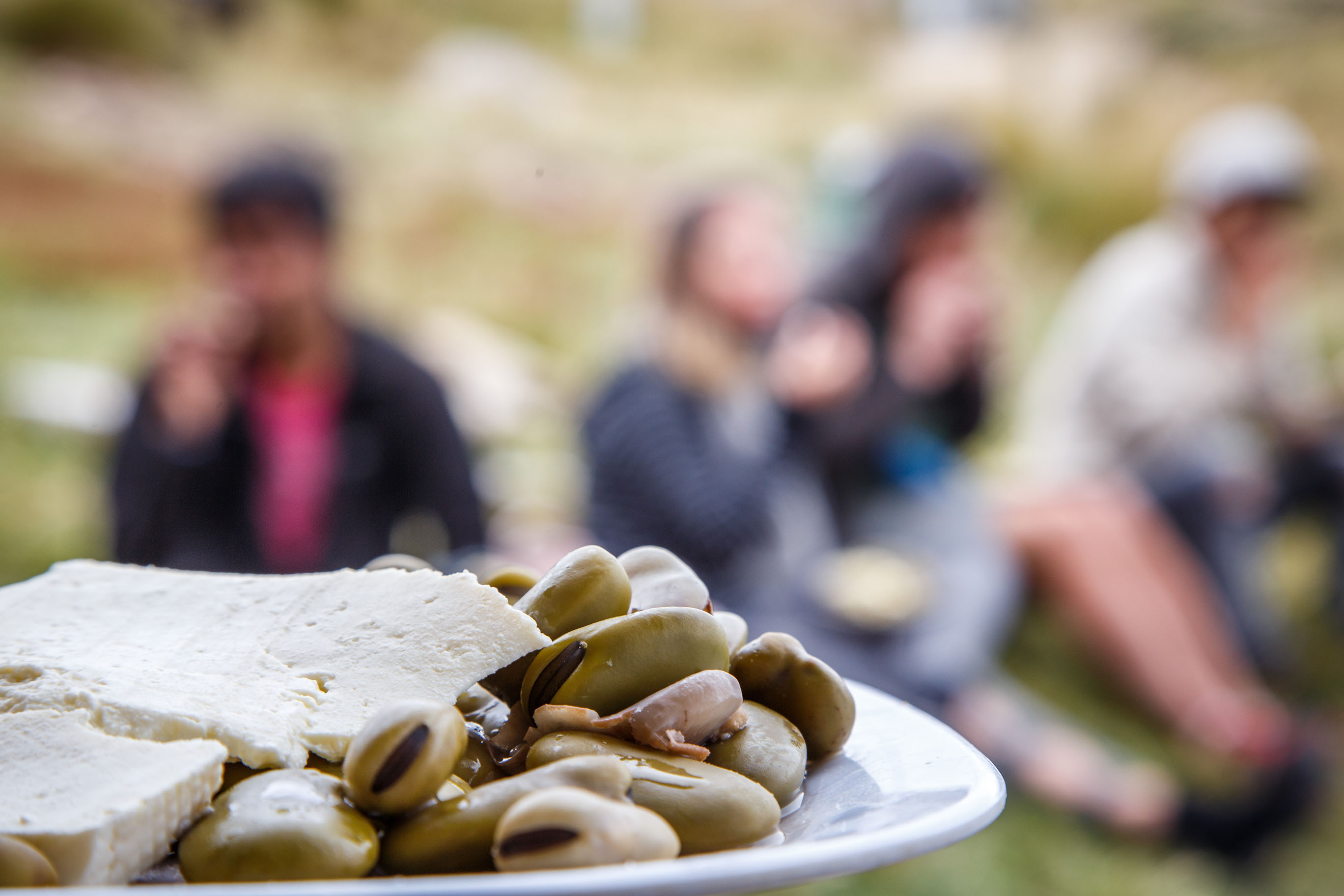 local food in Alausi